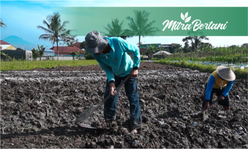 Penunjang Nyawa Tanaman dengan Olah Lahan yang Benar