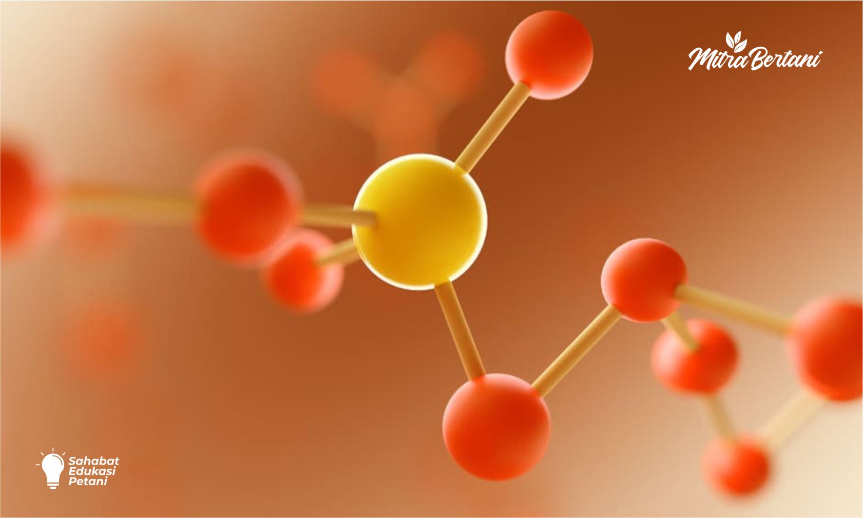 Solusi Cepat untuk Tanaman Stres: Manfaat Asam Amino yang Harus Kamu Tahu!!