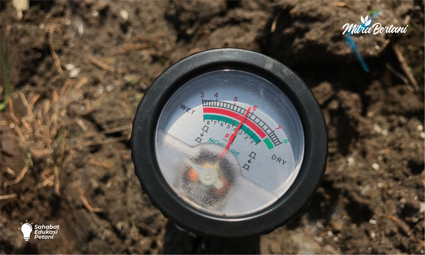 Cara Cepat Menaikan pH Tanah Di Musim Hujan