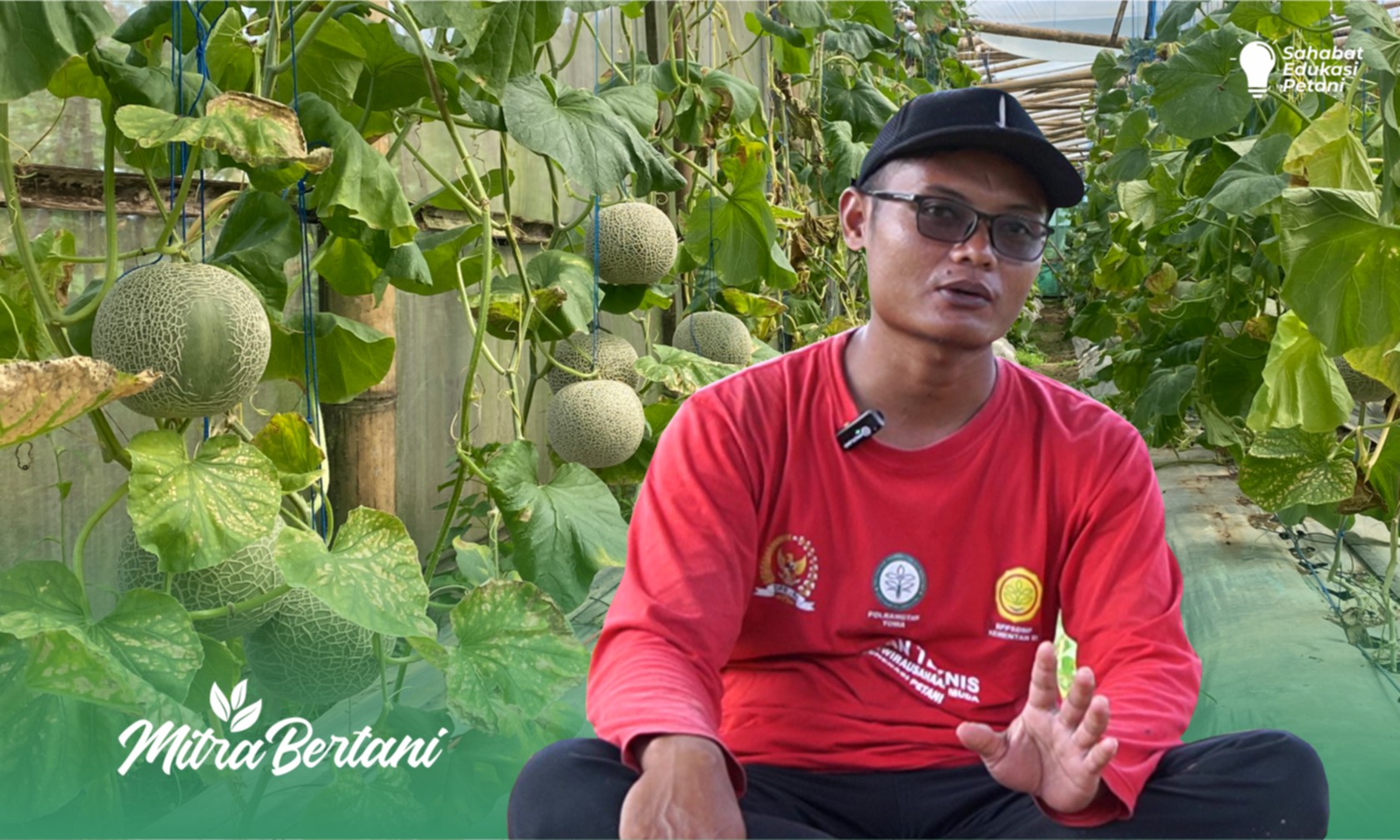 Budidaya Melon : Prinsip “Nekat dibalut Tekad dan Semangat” Tetap Membuahkan Hasil Manis