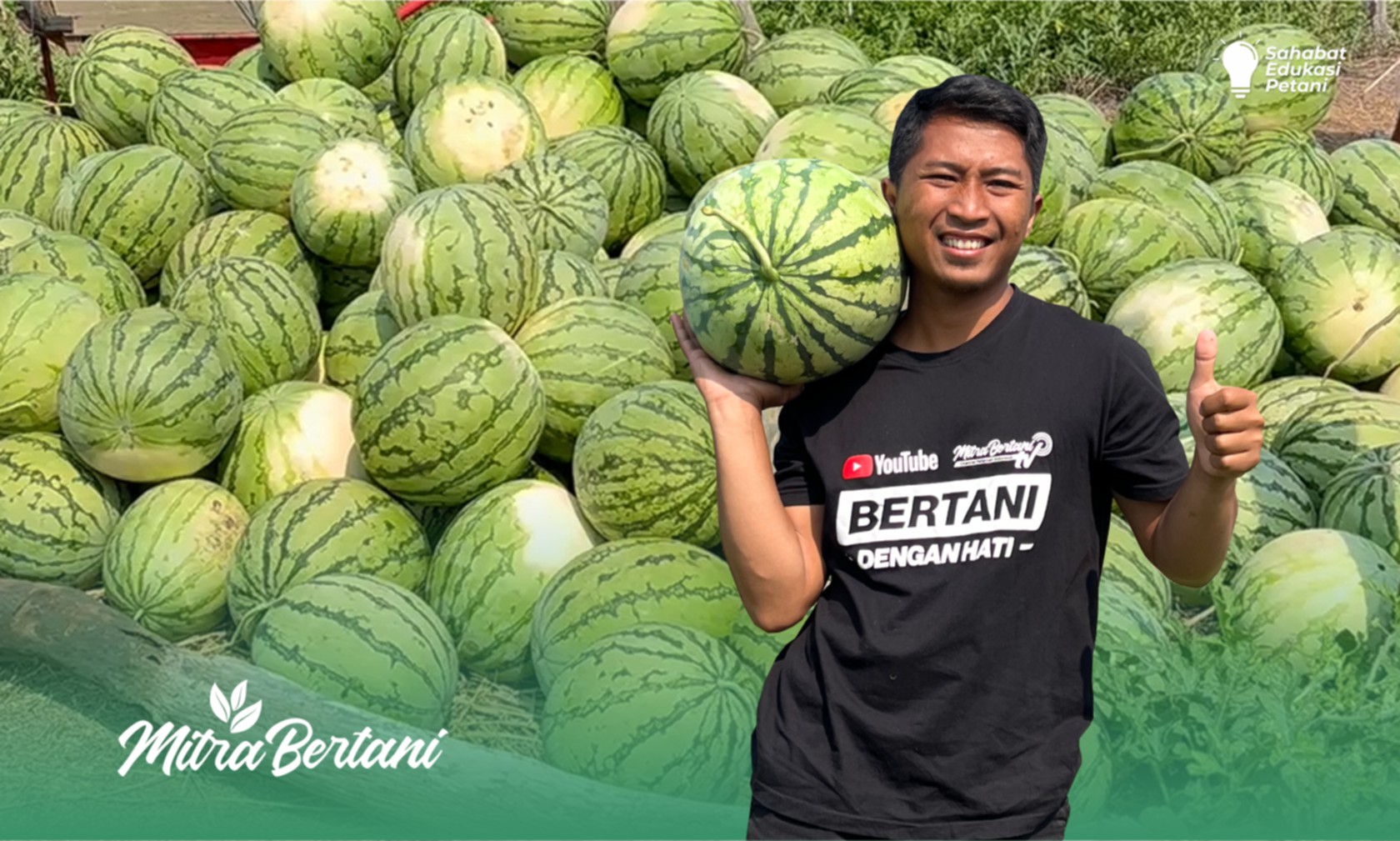 Budidaya Semangka : Mengupas Dibalik Hasil Manis Budidaya Semangka