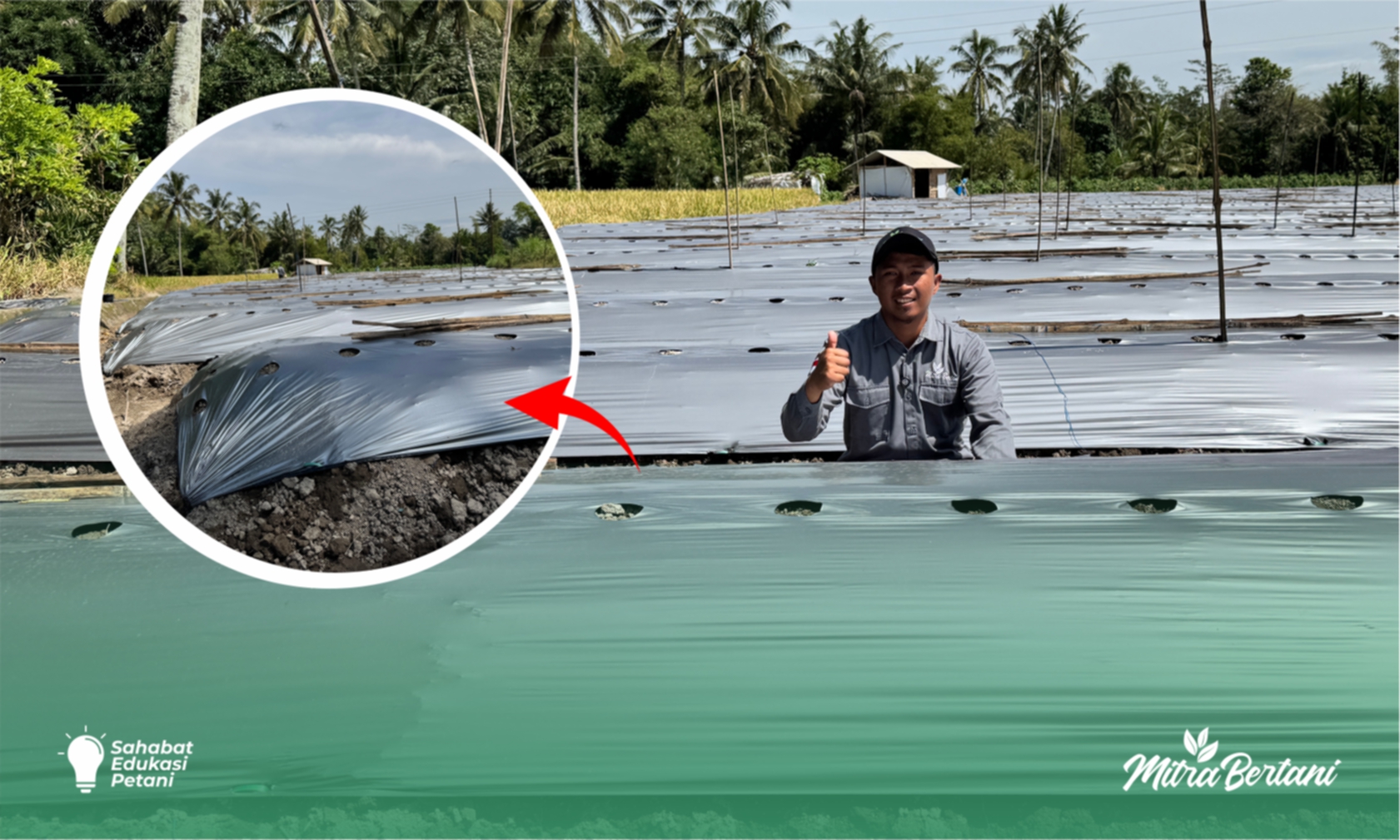 Tips Pembuatan Bedengan : Alasan Dibalik Ukuran Bedengan Yang Katanya Tidak Wajar 