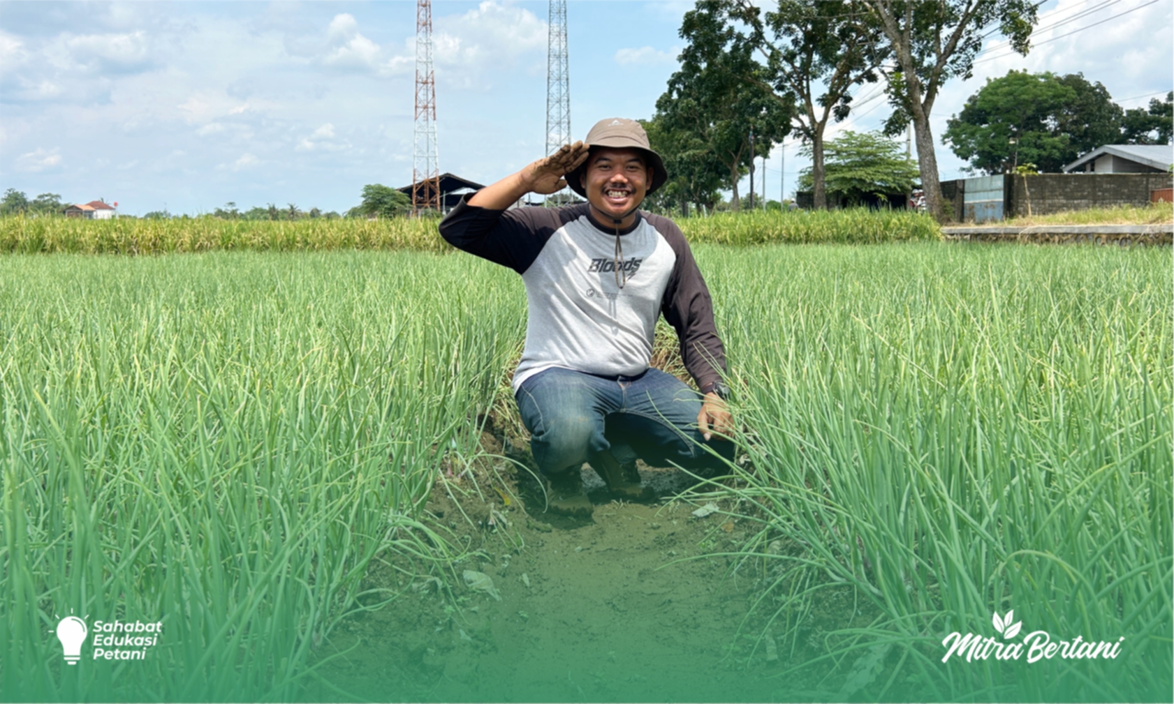Budidaya Bawang Merah : Dari Penjajakan Komoditas hingga Sukses Budidaya Bawang Merah