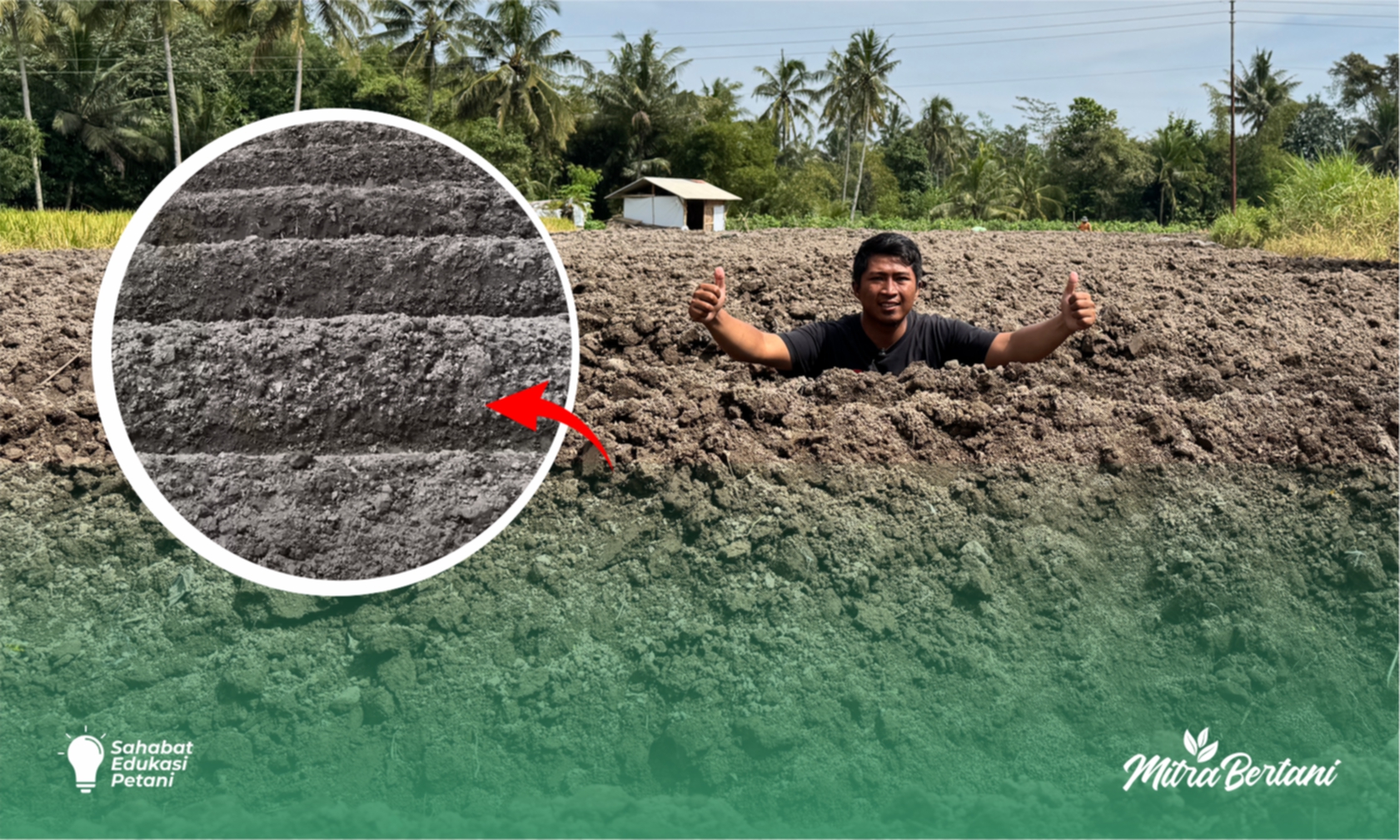 Cara Mudah Sterilisasi Lahan : Hemat Waktu dan Biaya Pengeluaran. 