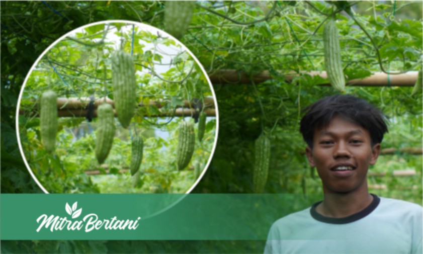Potret Bangga Seorang Petani Muda, Sukses Budidaya Tanaman Pare