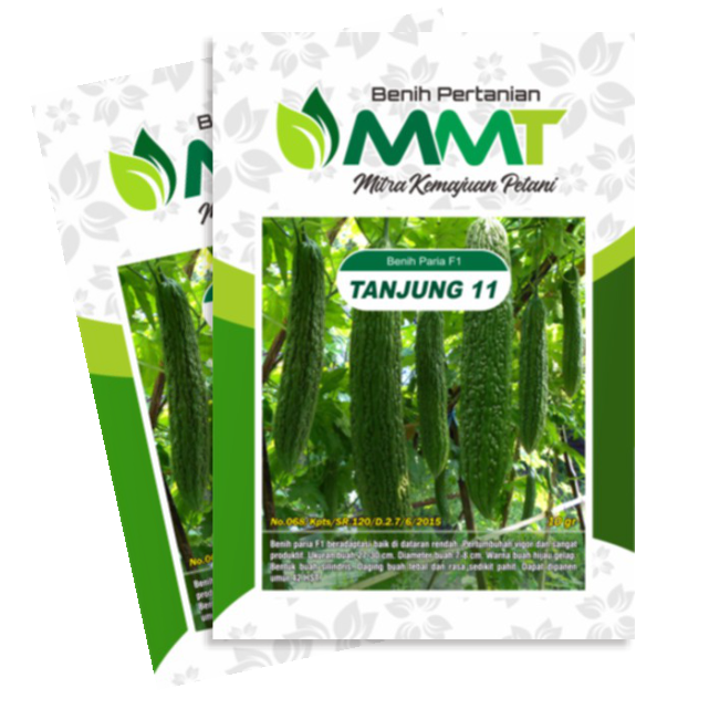 TANJUNG 11
