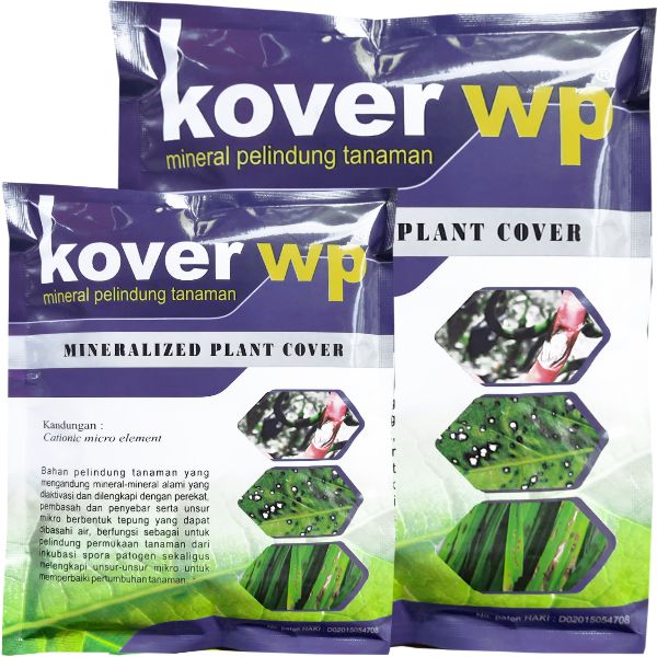 KOVER WP